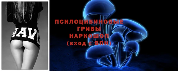 прущие крисы Лабытнанги