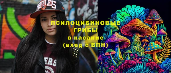 стафф Беломорск