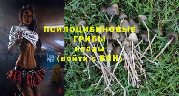прущие крисы Белоозёрский
