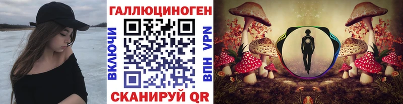 Галлюциногенные грибы Psilocybe  Бор 