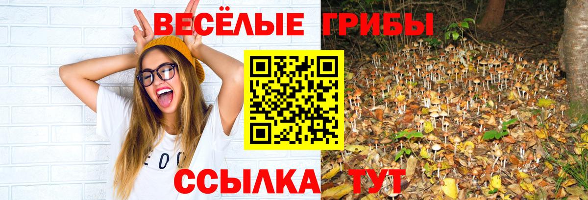 Галлюциногенные грибы прущие грибы Бор