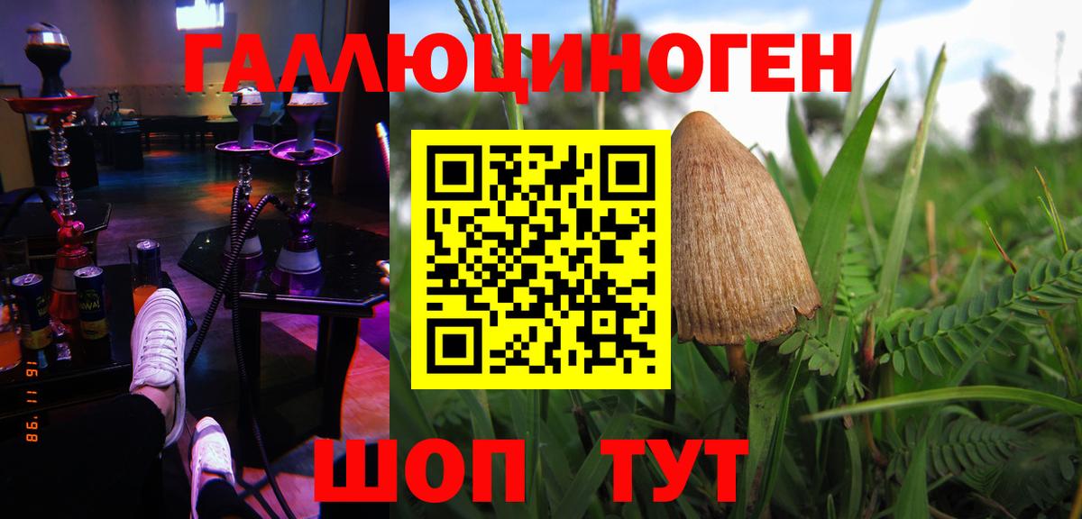 Галлюциногенные грибы GOLDEN TEACHER Бор