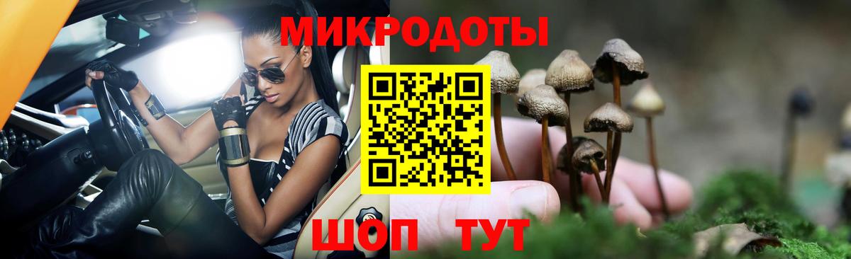 Бор  как найти   Вход с VPN  Псилоцибиновые грибы мухоморы 